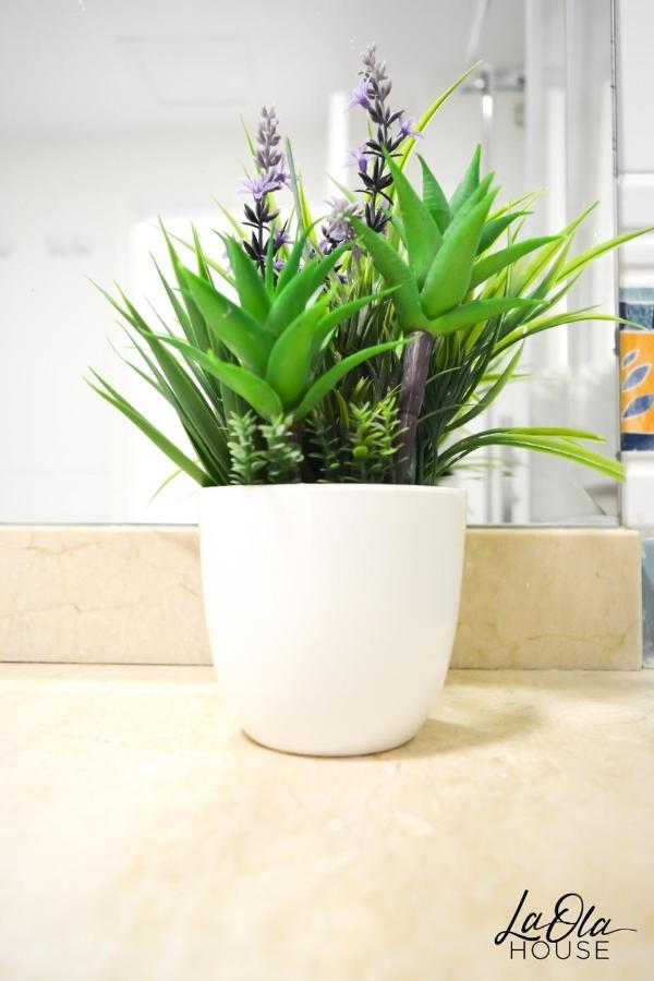 La Ola House Precioso Apartamento Con Piscina Corralejo Ngoại thất bức ảnh